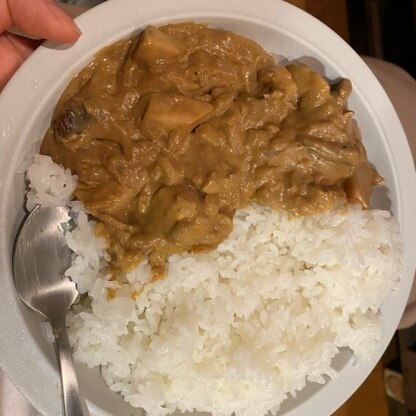 とっても簡単クリーミーで美味しく仕上がりました！豆乳を使ったカレーにハマりそうです♪